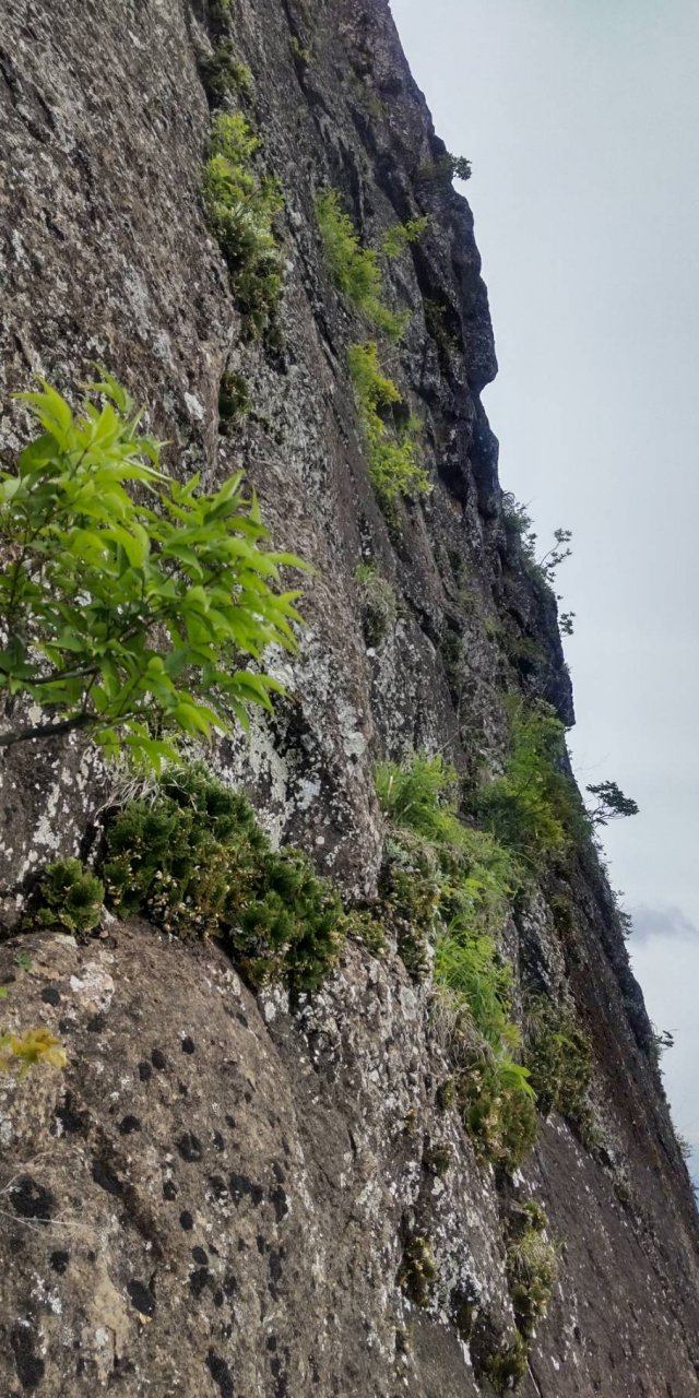 恐怖のトラバース…無理